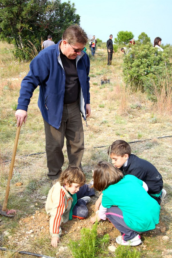 dia de l’Arbre 2013