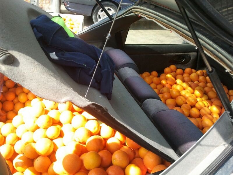 IMG-20140319-WA0006