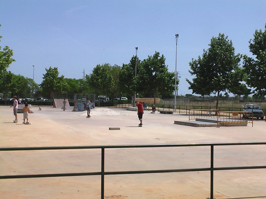 SKATE1