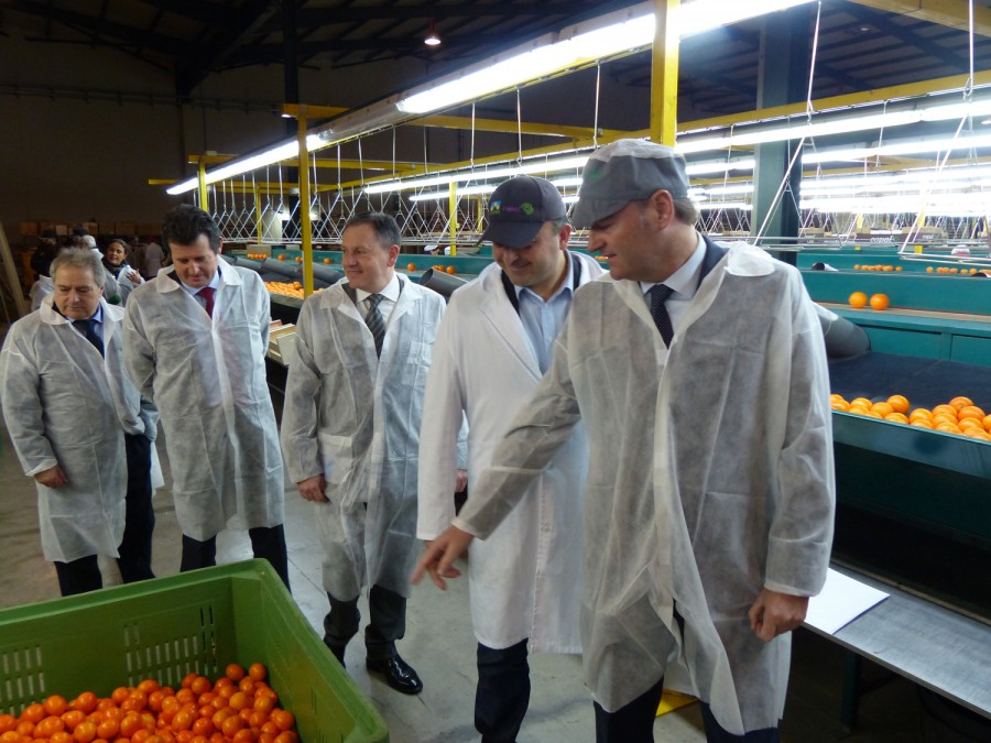 visita president copal 3